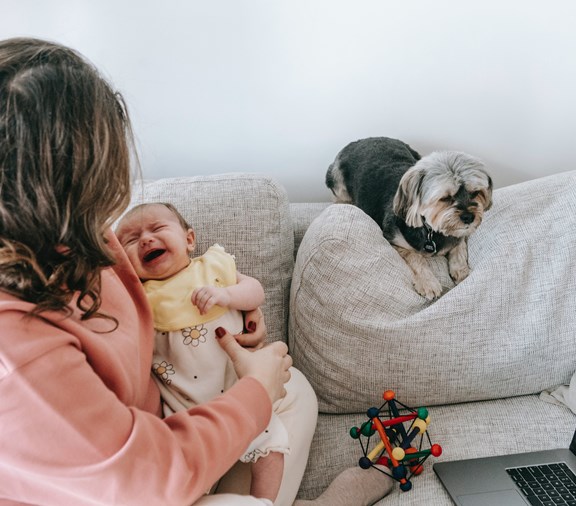 Mother trying to calm her crying baby with dog on couch