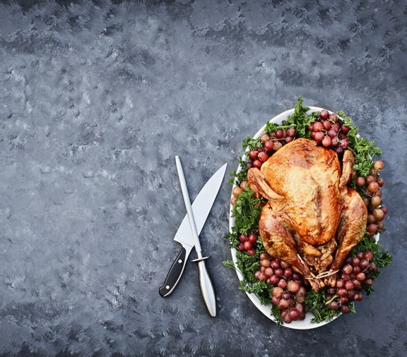 turkey on grey background