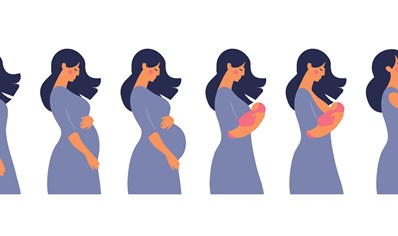 quick-facts-about-pregnancy image