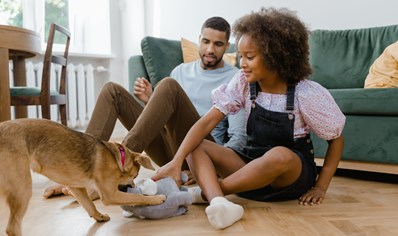 a-pediatrician-explains-what-parents-need-to-know-about-animal-and-pet-safety image